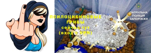 винт Мегион